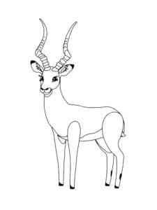 Easy Impala coloring page