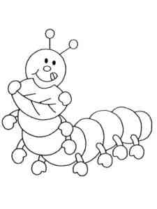 Caterpillar Insect coloring page