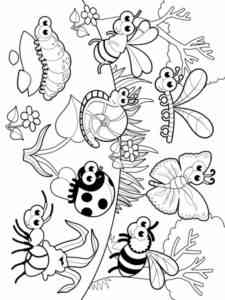 Beautiful Insects coloring page