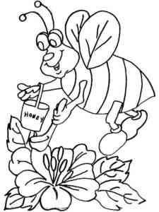 Bee Insect coloring page
