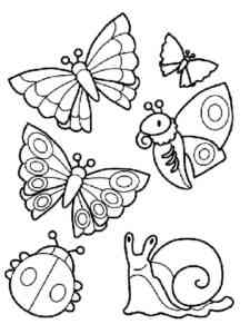 Easy Insects coloring page