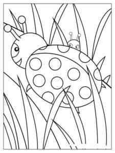 Beautiful Ladybug coloring page