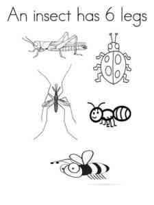 Simple Insects coloring page