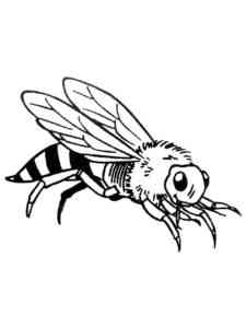 Red Mason Bee coloring page