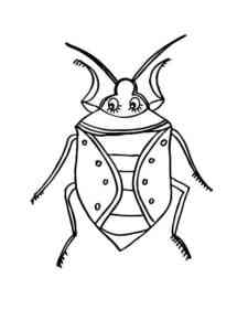 Stink Bug coloring page