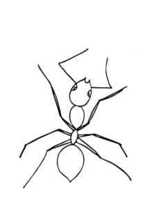 Easy Ant 2 coloring page