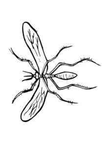 Easy Insect coloring page