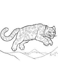 Irbis jumps coloring page