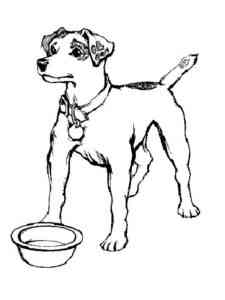 Jack Russell Terrier with bowl coloring page