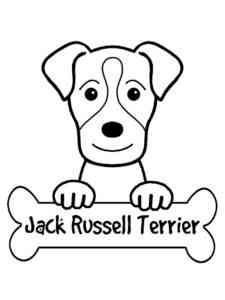 Jack Russell Terrier and Bone coloring page