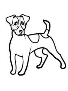 Simple Jack Russell Terrier coloring page