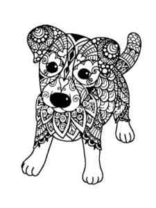 Antistress Jack Russell Terrier coloring page