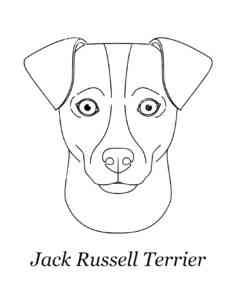 Jack Russell Terrier Head coloring page