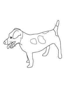 Funny Jack Russell Terrier coloring page