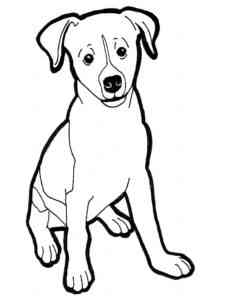 Easy Jack Russell Terrier coloring page