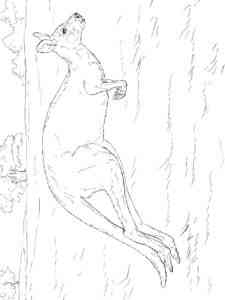 Jumping Kangaroo coloring page
