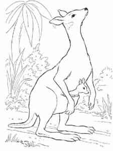 Kangaroo in the forest coloring page