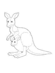 Simple Kangaroo with cub coloring page