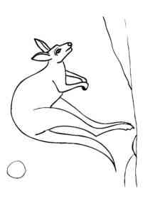 Easy Jumping Kangaroo coloring page