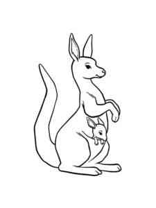 Baby Kangaroo in the Pouch coloring page