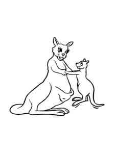Kangaroo plays with a cub coloring page