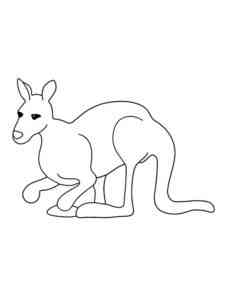 Easy Kangaroo coloring page