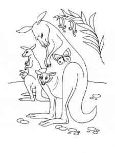 Kangaroo Family coloring page