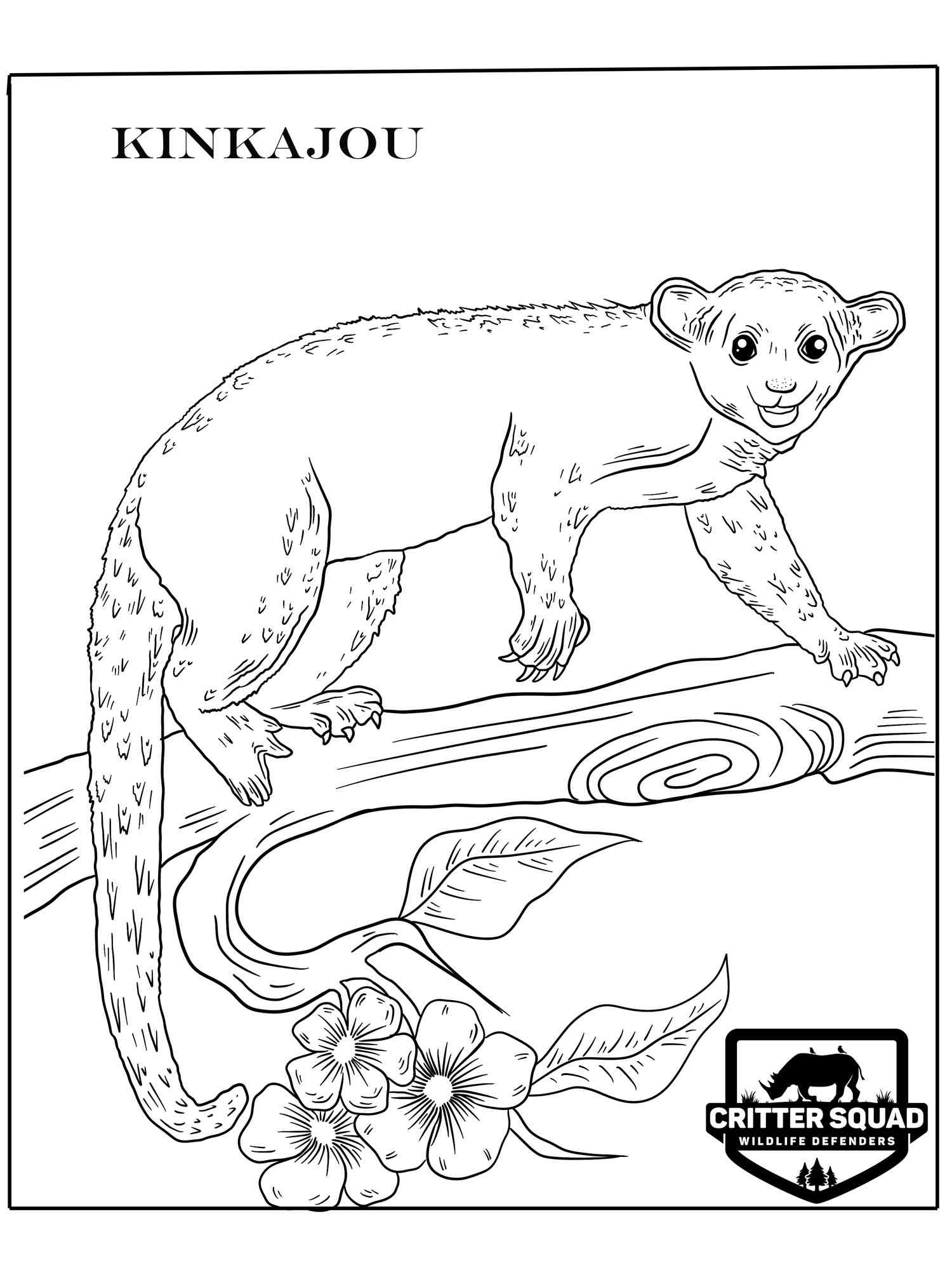 Kinkajou on the branch coloring page