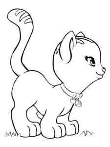 Beautiful Kitten coloring page
