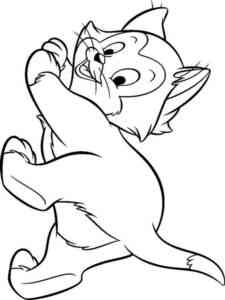 Funny Kitten coloring page