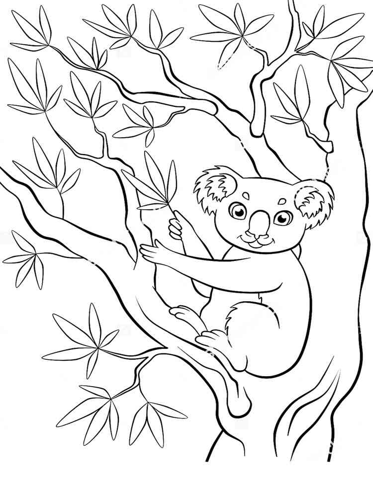 Simple Koala on the tree coloring page
