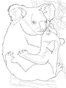 Mother and baby Koala coloring page