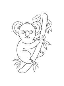 Koala on the tree branch coloring page