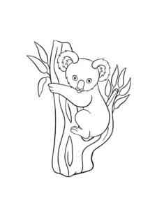 Koala on the tree coloring page
