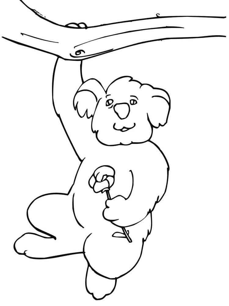 Koala with flower coloring page