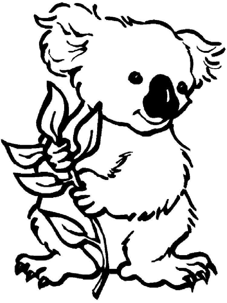 Koala with branch coloring page