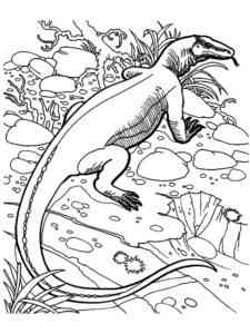 Big Lizard Komodo Dragon coloring page