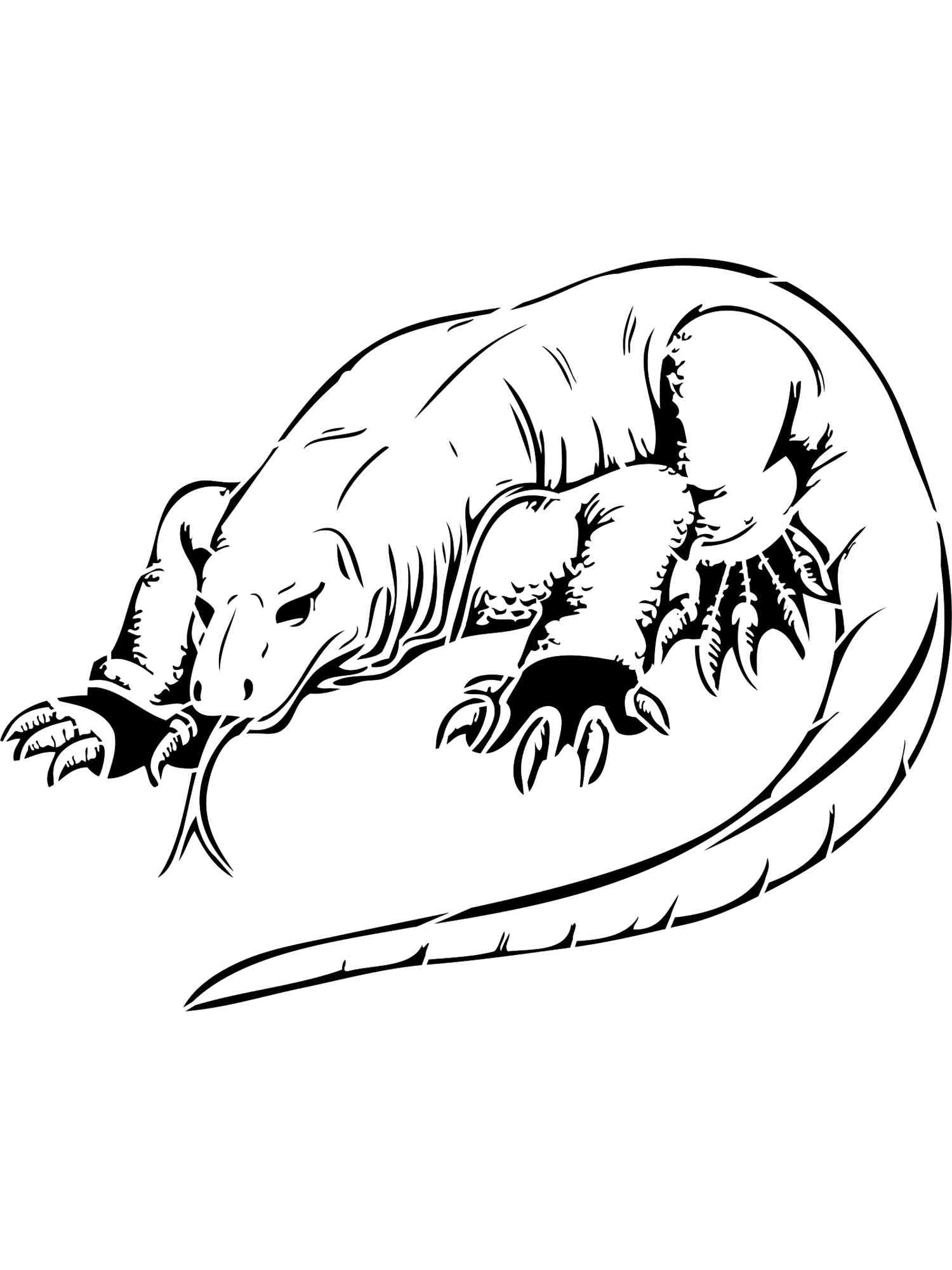 Giant Komodo Dragon coloring page