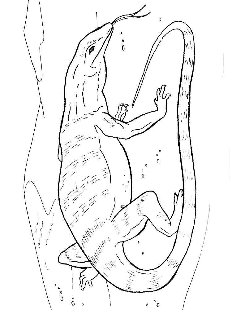 Wild Komodo Dragon coloring page