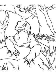 Komodo Dragon on Rock coloring page
