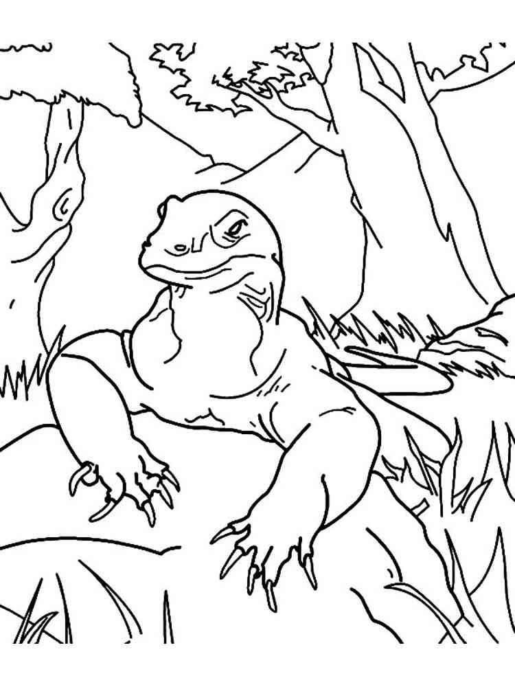 Komodo Dragon on Rock coloring page