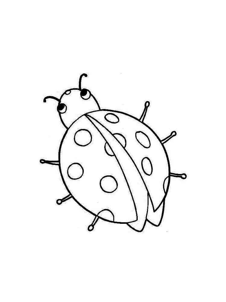 Little Ladybug 2 coloring page