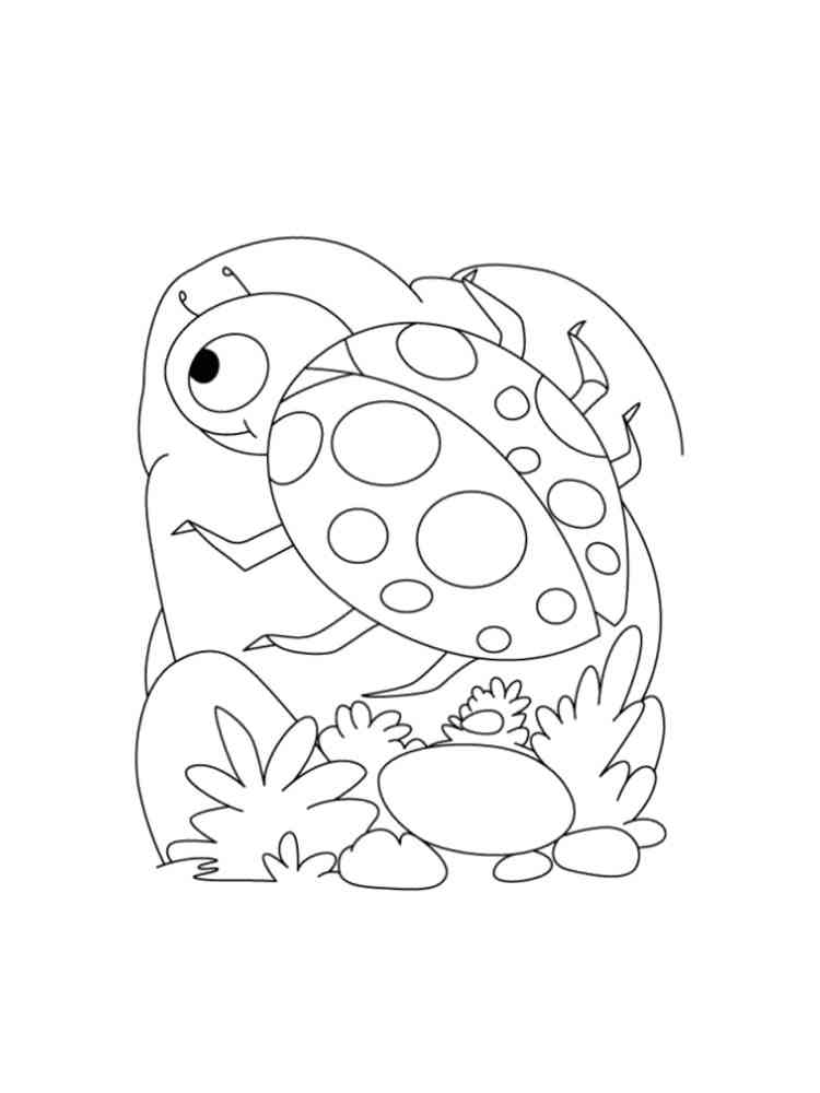 Ladybug on a rock coloring page