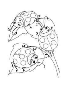 Three Ladybugs coloring page