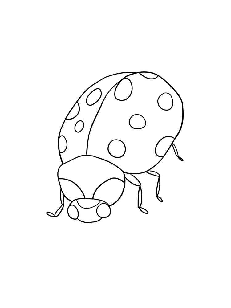 Simple Ladybug coloring page