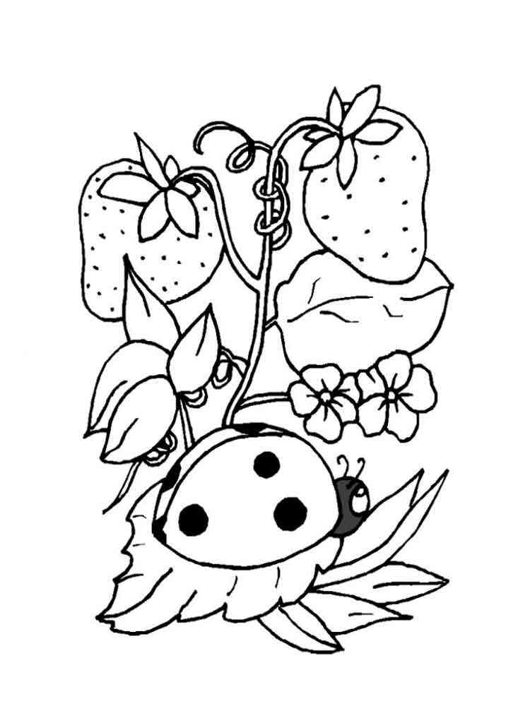 Ladybug and Strawberry coloring page