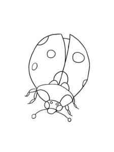 Simple Ladybug coloring page