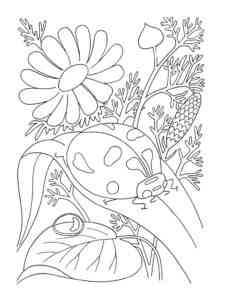 Ladybug and plants coloring page
