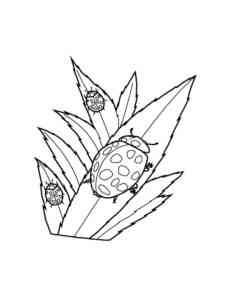 Ladybugs on leaves coloring page