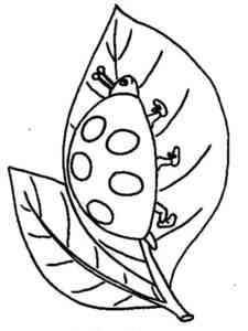 Ladybug crawls on the leaf coloring page